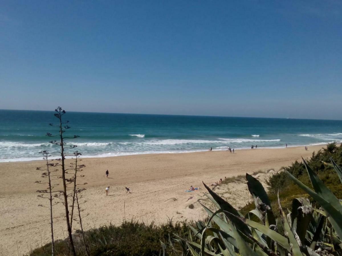 Casa "El Pinar" Villa Chiclana de la Frontera Exteriör bild